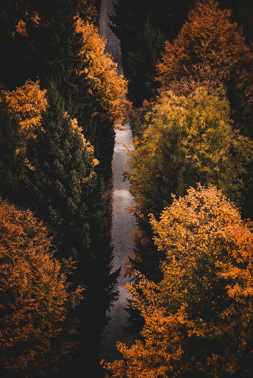entdecken sie die kraft der achtsamkeit, um stress abzubauen, im moment zu leben und ihr wohlbefinden zu verbessern.