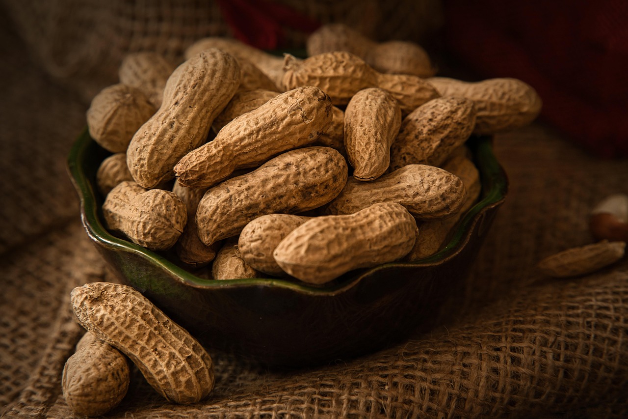 gesunde snacks: entdecken sie köstliche und nahrhafte snack-ideen für zwischendurch, die energie liefern und wohlbefinden fördern.