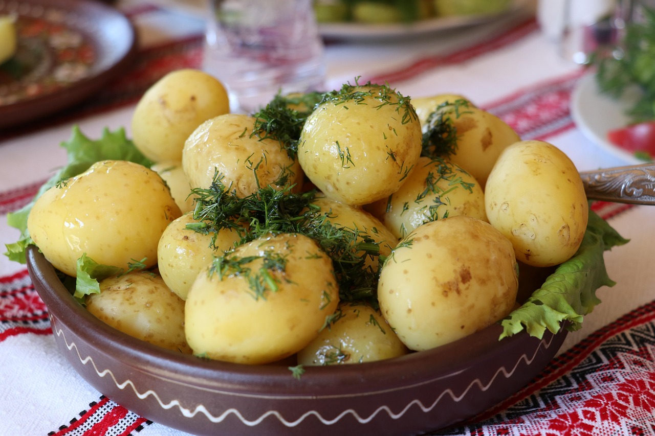 entdecken sie die traditionelle deutsche küche mit authentischen rezepten und regionalen spezialitäten, die den wahren geschmack deutschlands widerspiegeln.