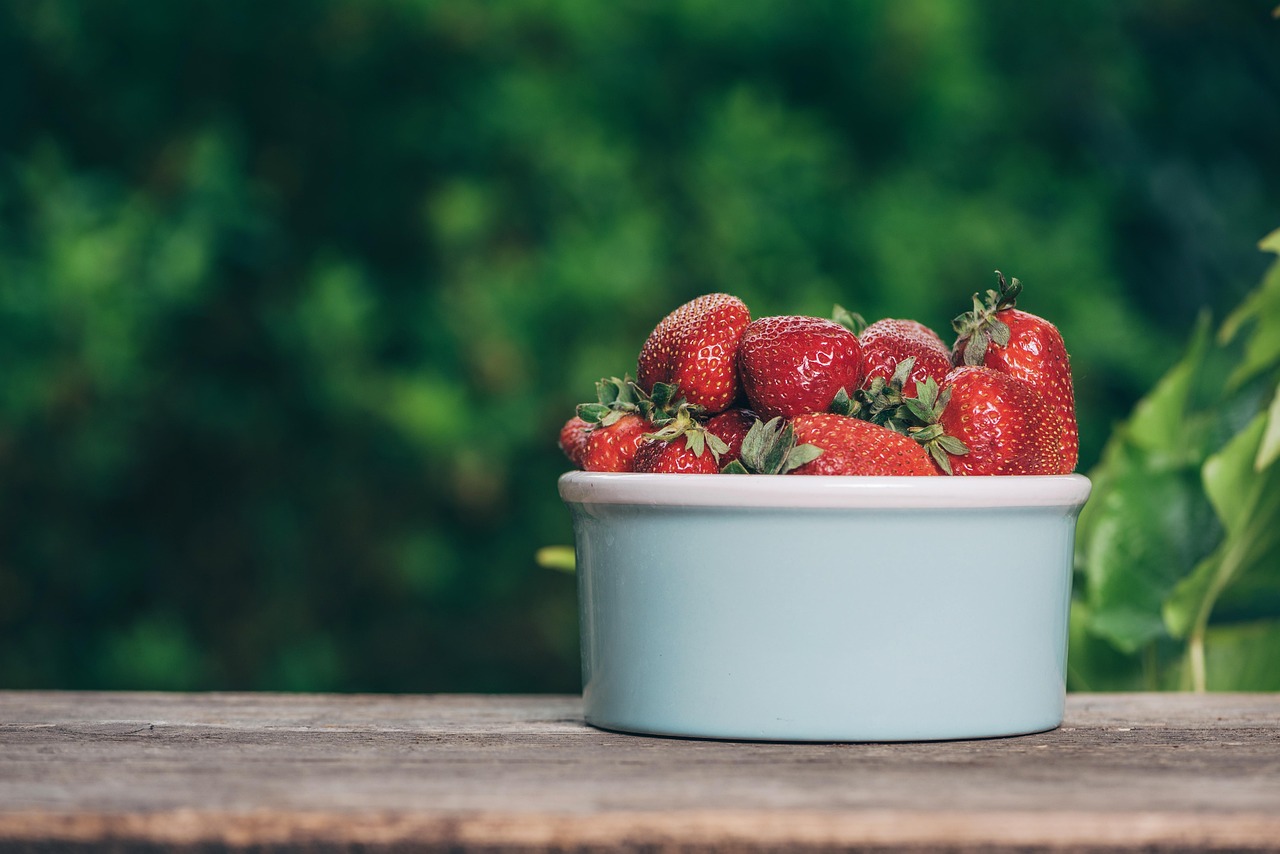 gesunde snacks: entdecken sie leckere und nahrhafte snack-optionen für zwischendurch, die energie geben und das wohlbefinden fördern.