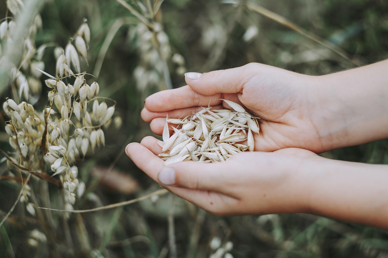 erfahren sie alles über ernährung, gesunde essgewohnheiten und tipps für eine ausgewogene ernährung, um ihr wohlbefinden zu steigern.