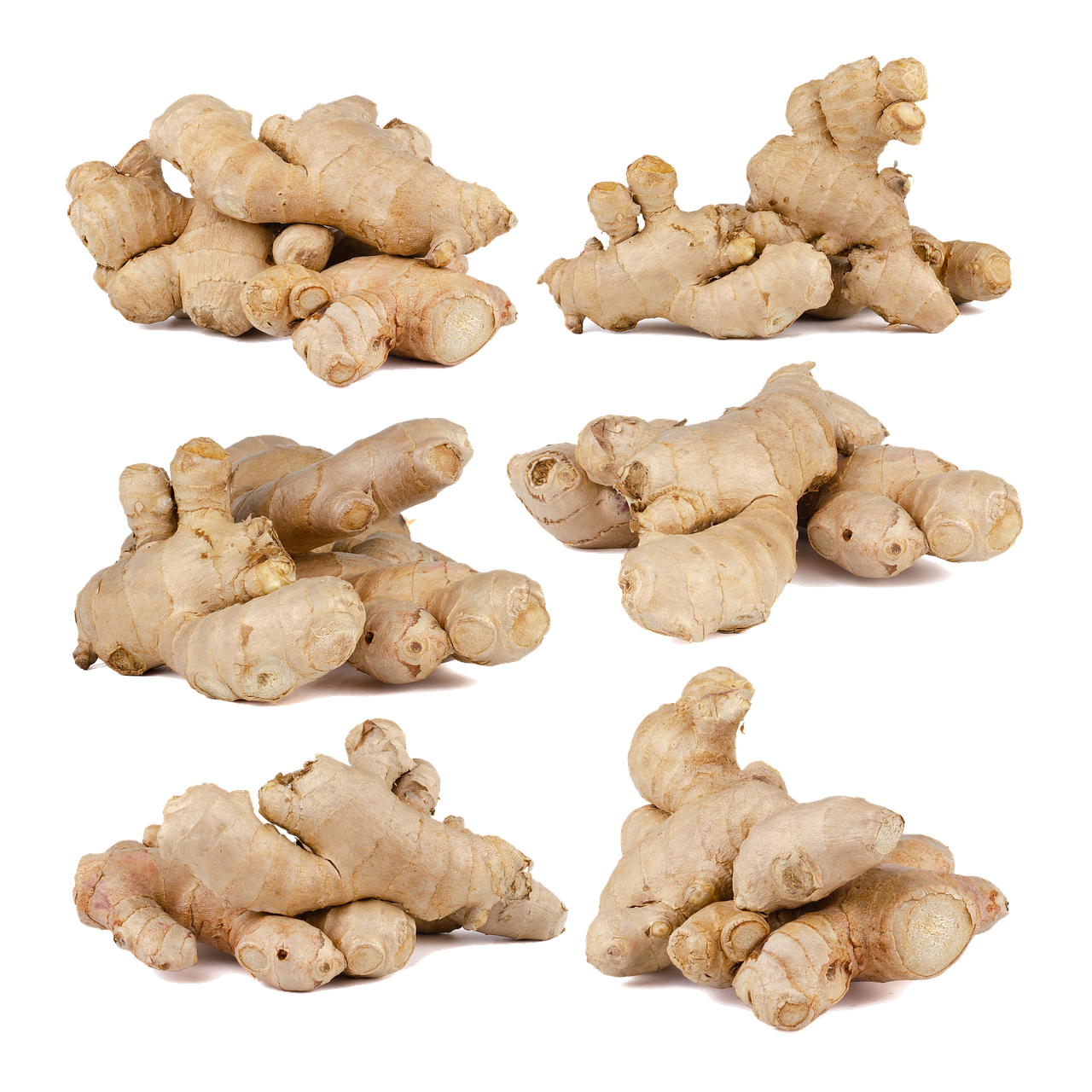 entdecken sie köstliche vegane rezepte und einfache zubereitungstipps für eine gesunde, pflanzliche küche.
