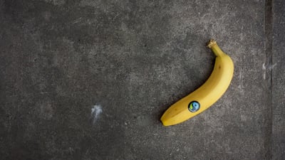 Die wichtigsten Hardware-Anforderungen für Webanwendungen
